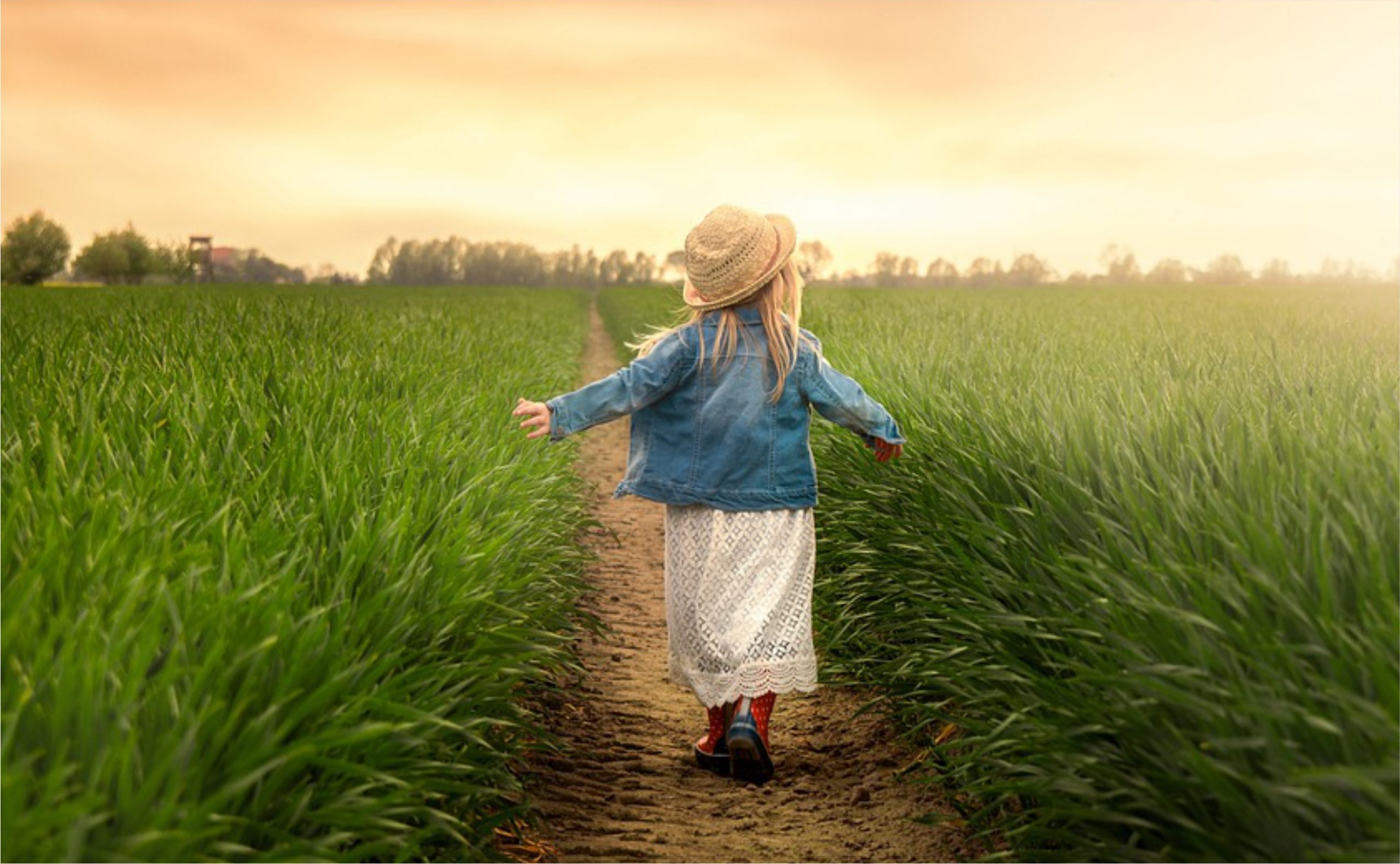 Go into nature and pray (Fr Ljubo Kurtović, OFM)