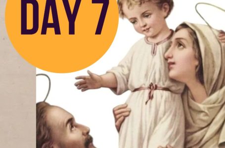 DAY 7,  20.02, Head of the Holy Family