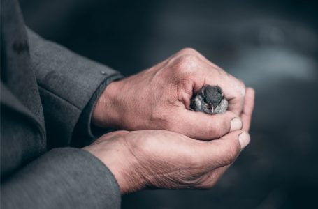 Satan wants to entangle you with the cord of peacelessness and hatred