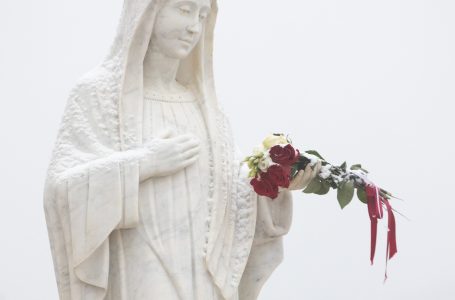 To be the defenders of the love of God (Fr. Marinko Shakota, OFM)