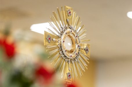 Preparation for the Eucharist (Fr. Slavko Barbaric, OFM)